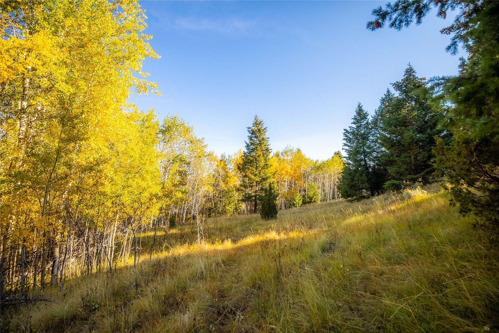 82 Acres of Recreational Land for Sale in Ramsay, Montana