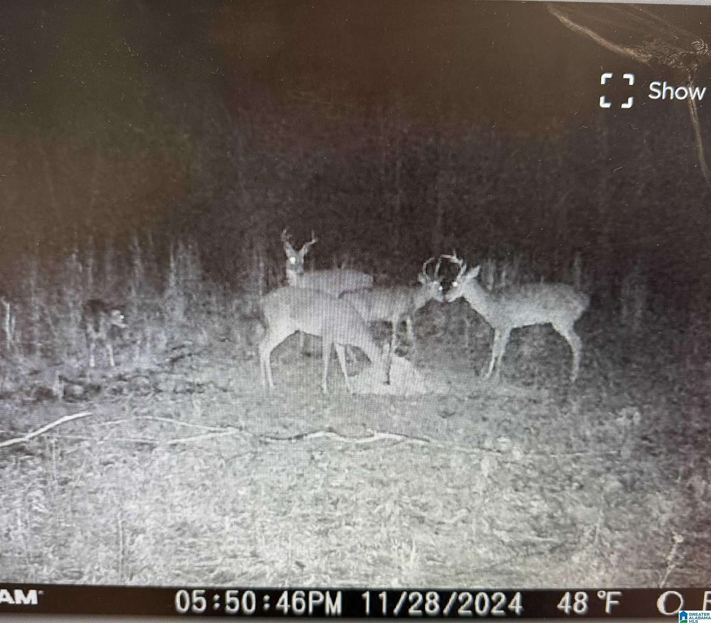 66 Acres of Recreational Land for Sale in Quinton, Alabama