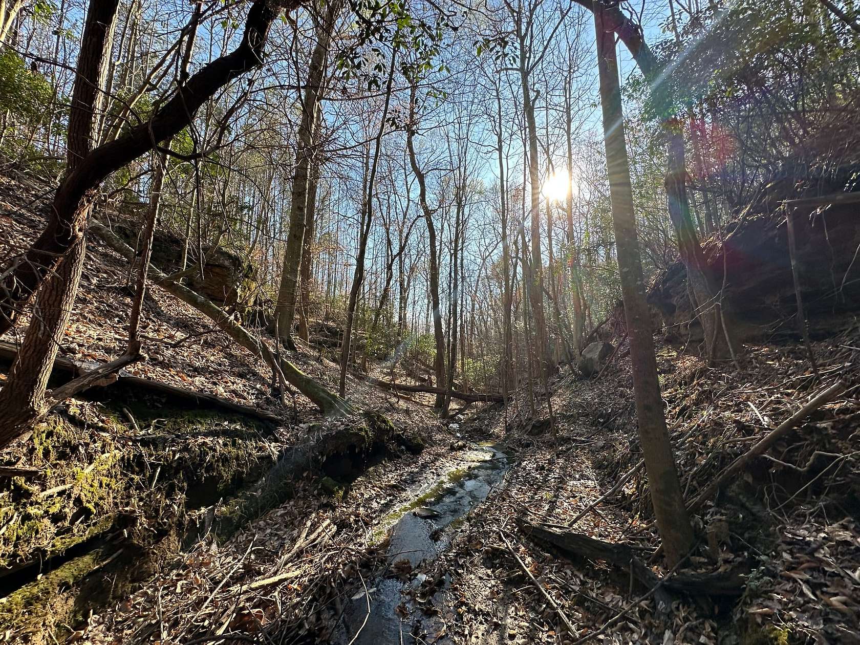 100 Acres of Recreational Land & Farm for Sale in Hackleburg, Alabama