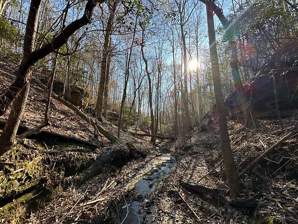 100 Acres of Recreational Land & Farm for Sale in Hackleburg, Alabama