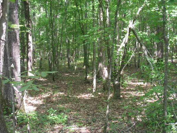 80 Acres of Recreational Land for Sale in Texarkana, Arkansas