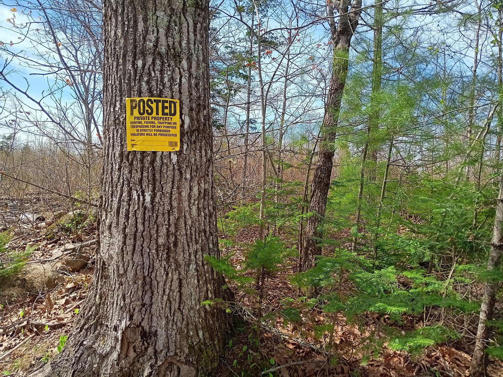 11.8 Acres of Land for Sale in Montville Town, Maine