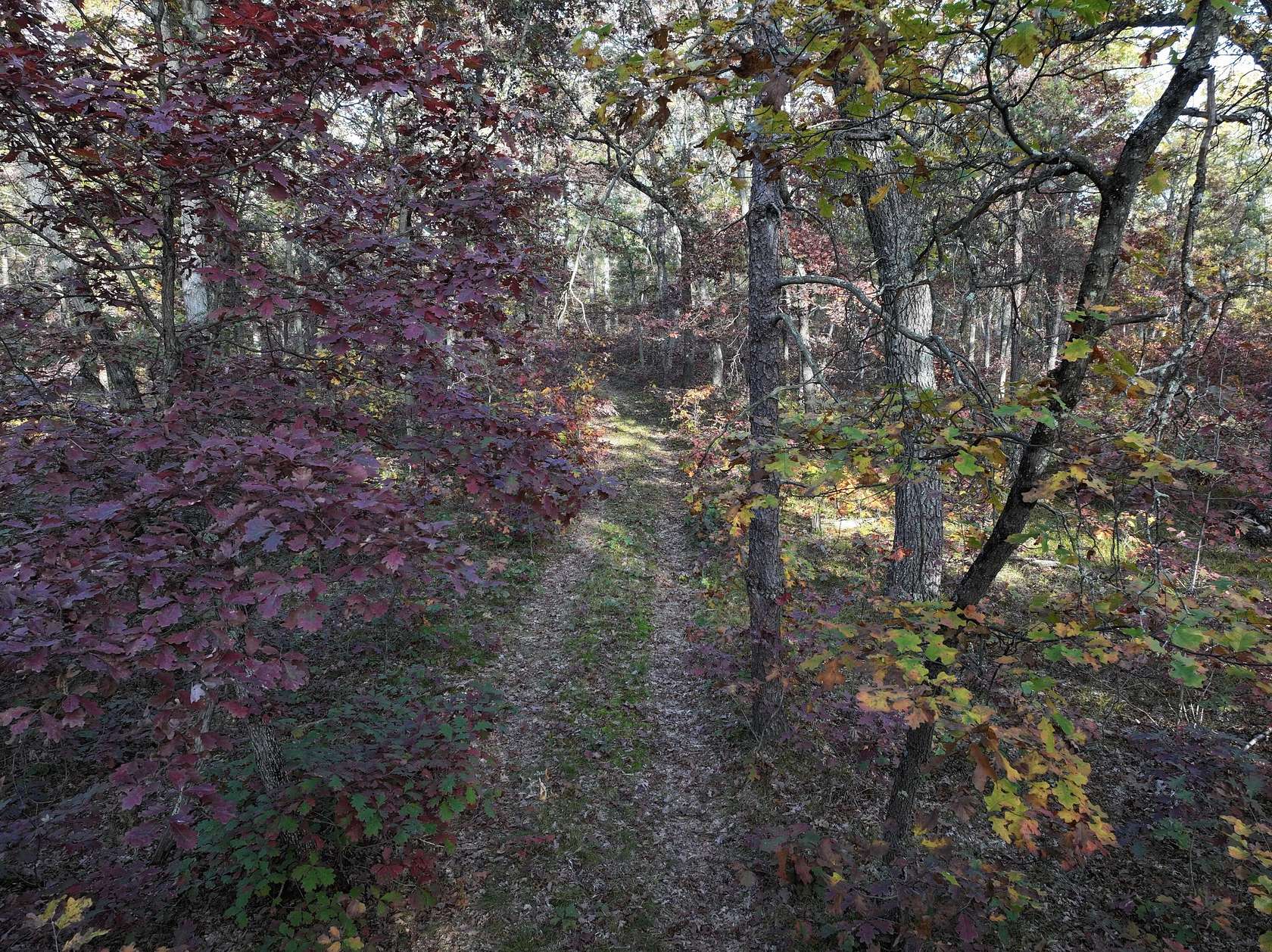 10 Acres of Recreational Land for Sale in Free Soil, Michigan