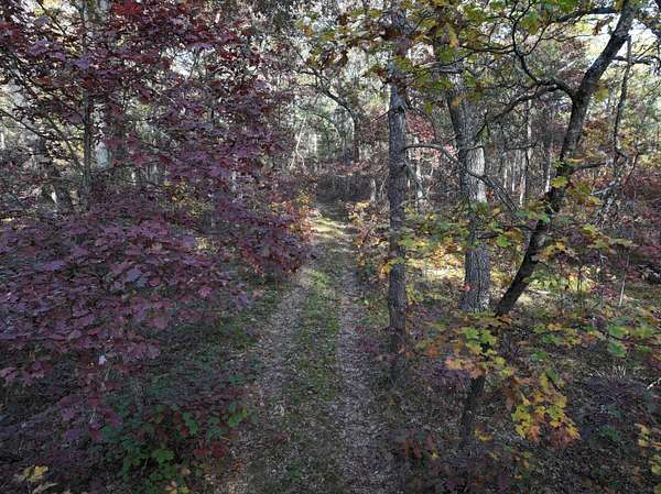 10 Acres of Recreational Land for Sale in Free Soil, Michigan