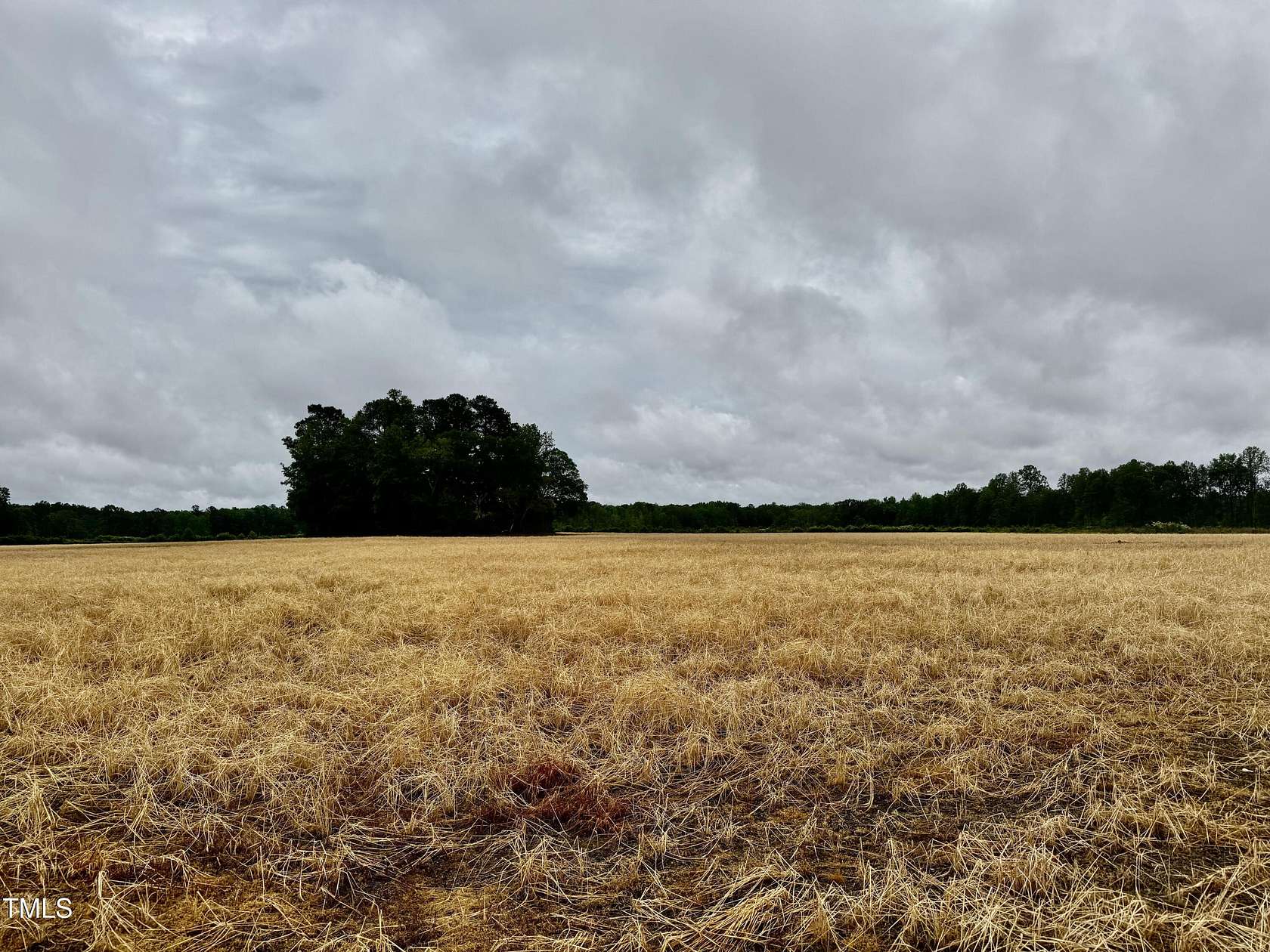 157 Acres of Recreational Land for Sale in Murfreesboro, North Carolina