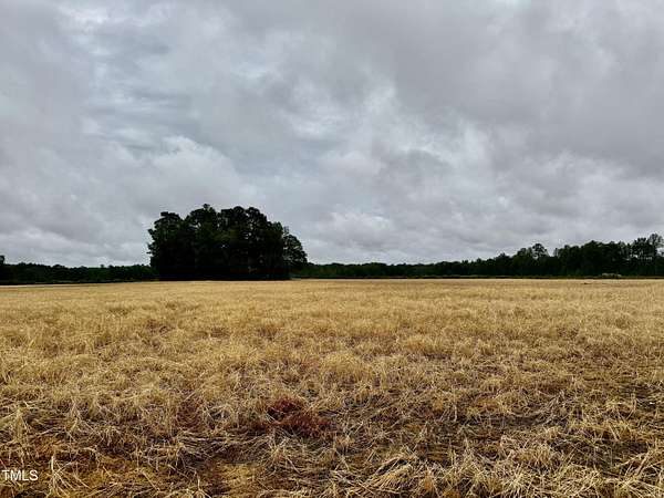 157 Acres of Recreational Land for Sale in Murfreesboro, North Carolina