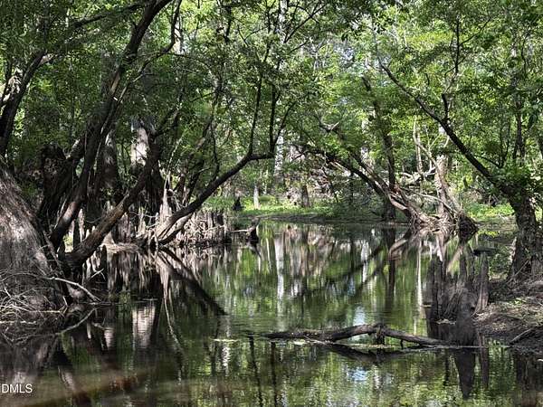 151 Acres of Recreational & Residential Land for Sale in Murfreesboro, North Carolina