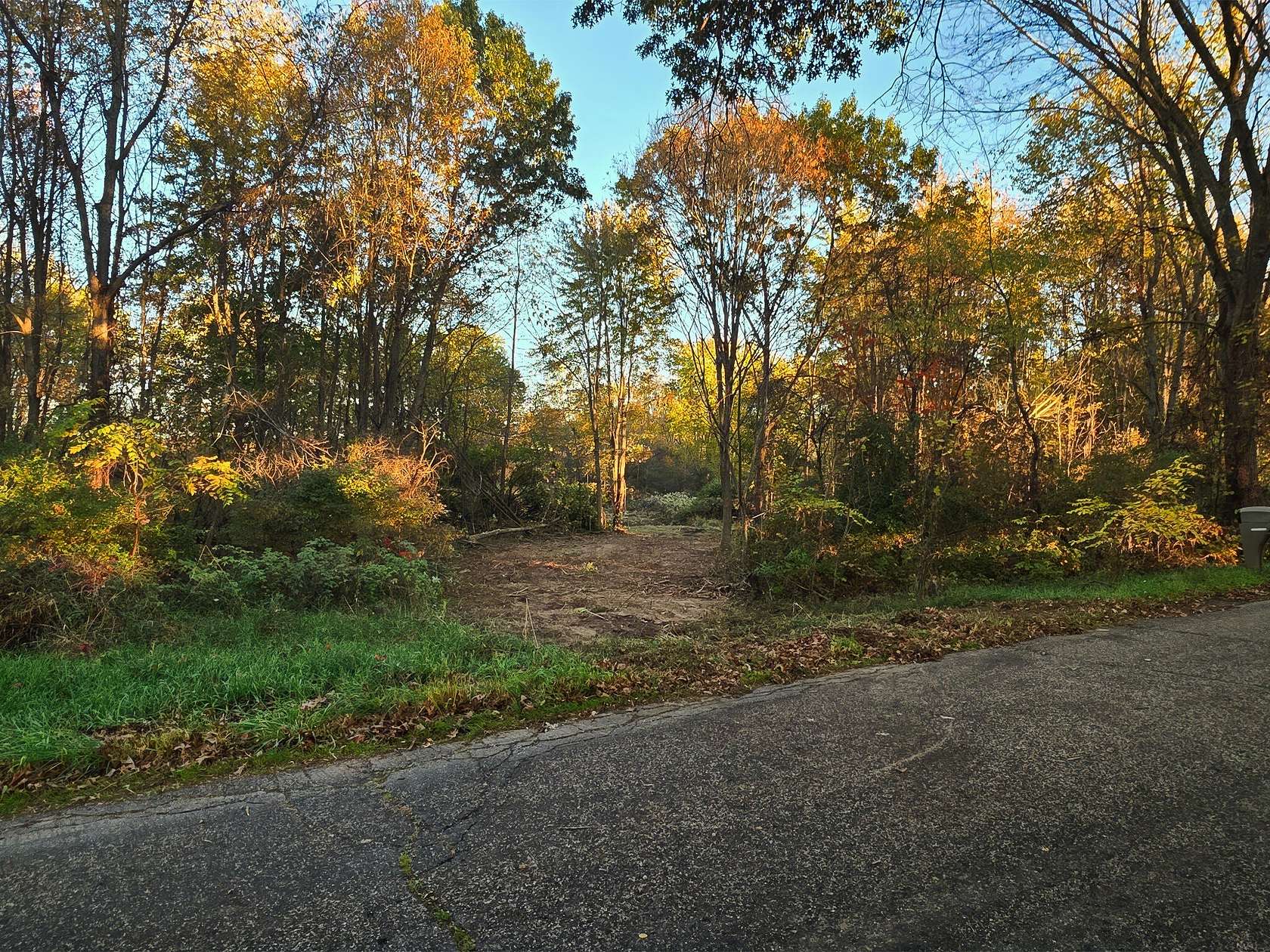 9.54 Acres of Land for Sale in Rives Junction, Michigan