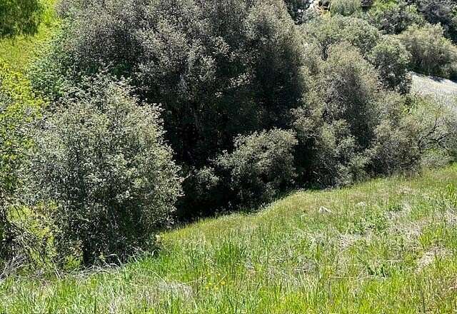 1.56 Acres of Land for Sale in California Hot Springs, California