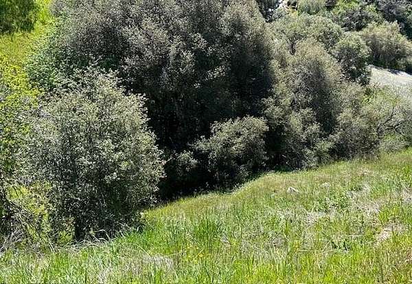 1.56 Acres of Land for Sale in California Hot Springs, California