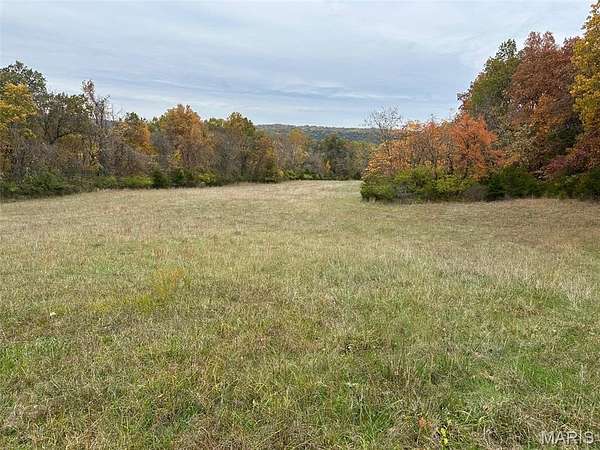 13.6 Acres of Mixed-Use Land for Sale in Barnhart, Missouri