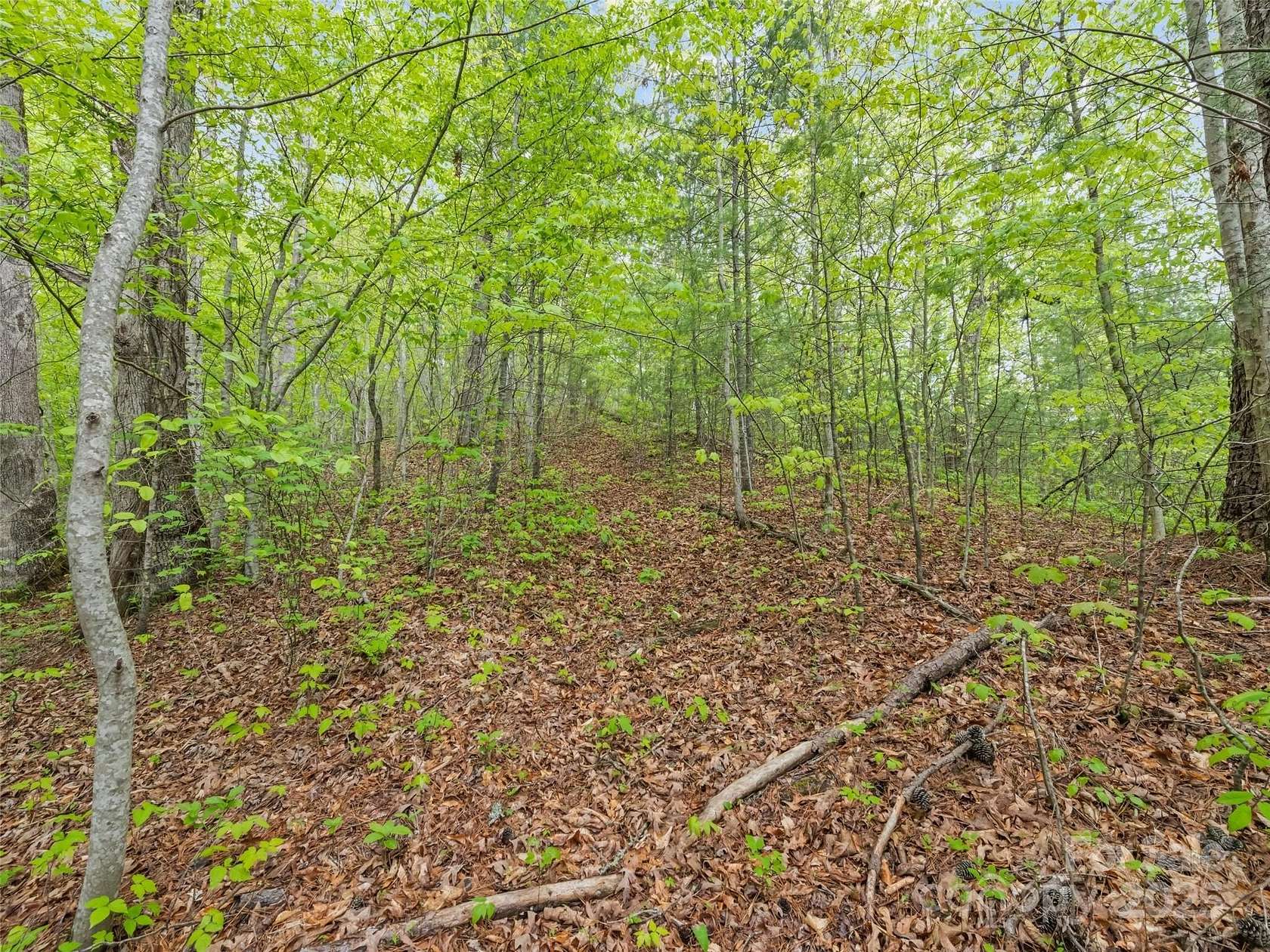 10.2 Acres of Land for Sale in Sylva, North Carolina