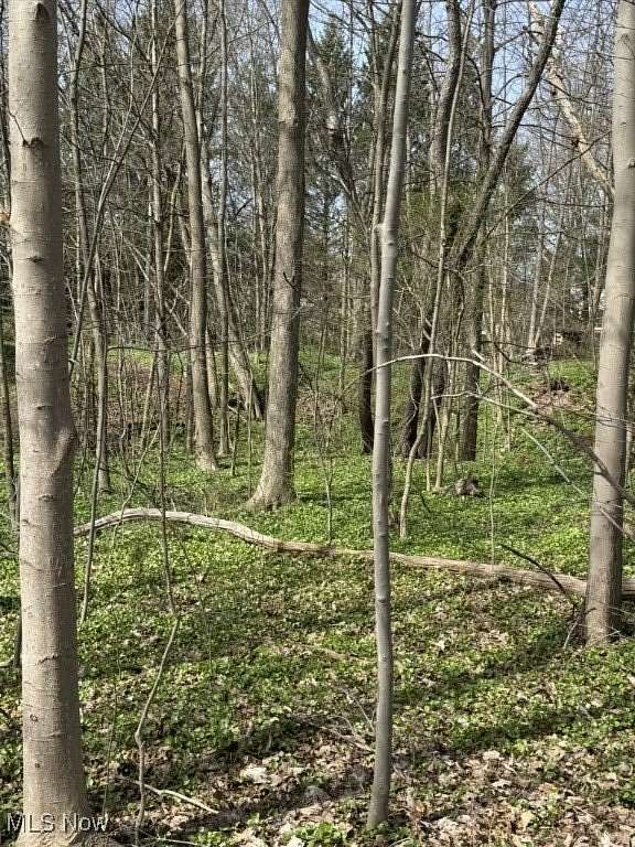 0.34 Acres of Land for Sale in Chagrin Falls, Ohio