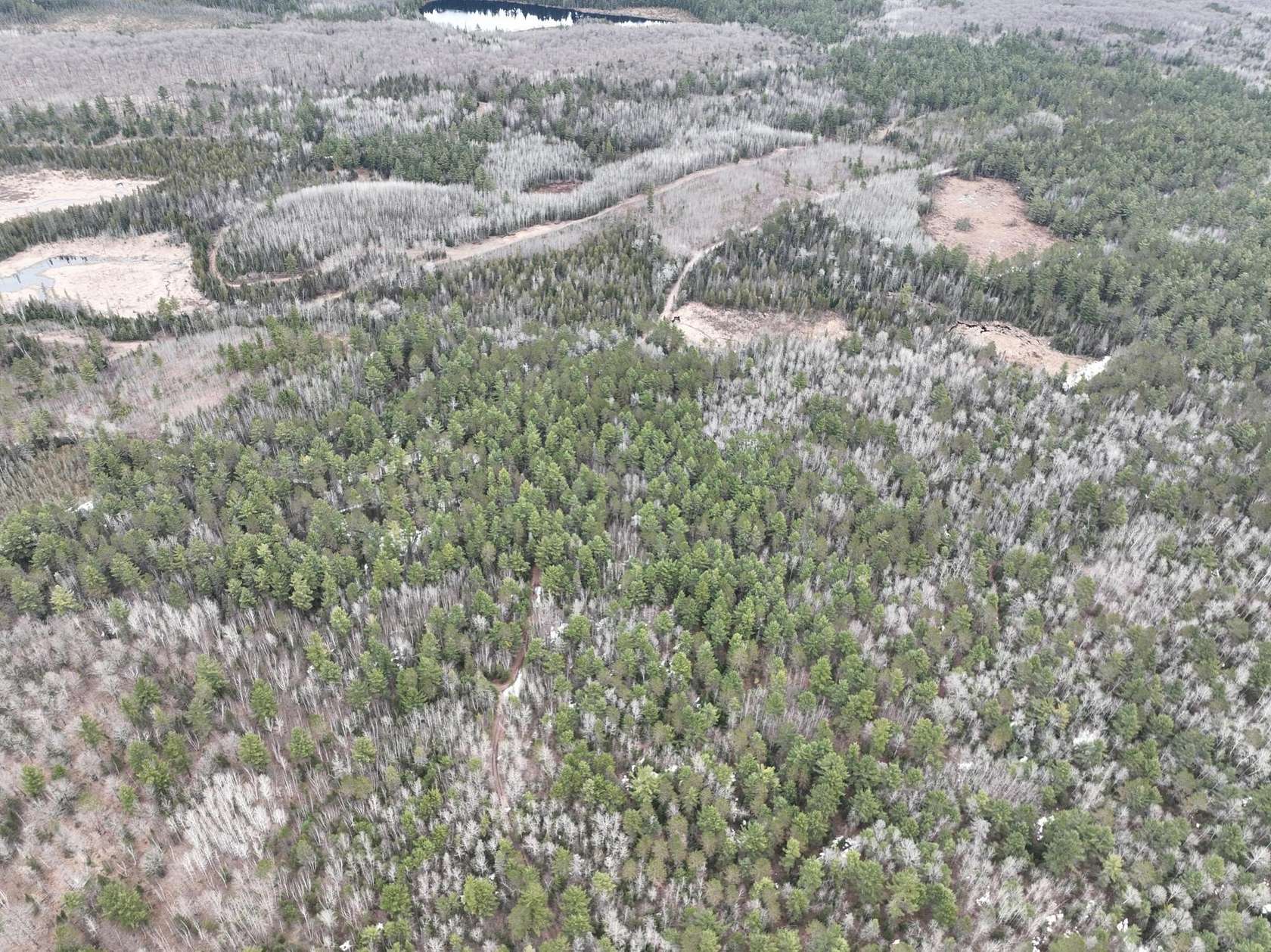 38.9 Acres of Recreational Land for Sale in Land O' Lakes, Wisconsin