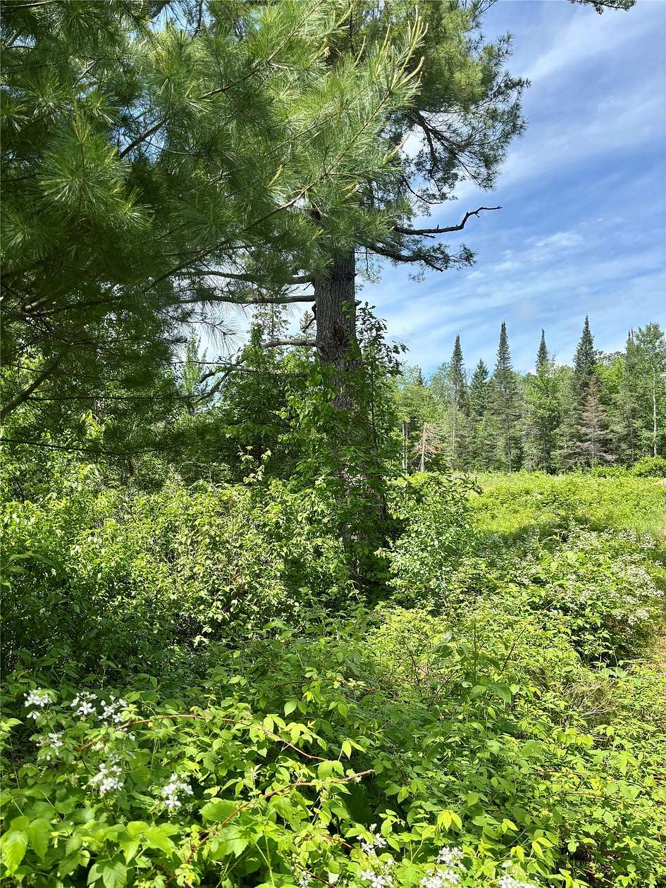 1.64 Acres of Residential Land for Sale in Hayward, Wisconsin
