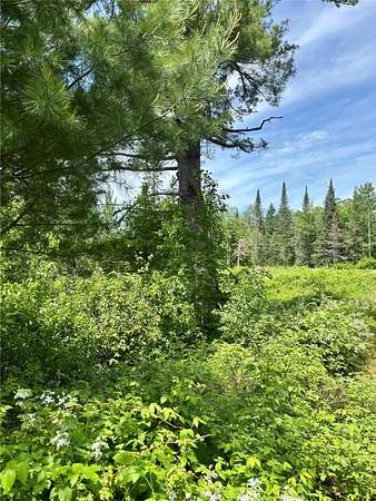 1.64 Acres of Residential Land for Sale in Hayward, Wisconsin