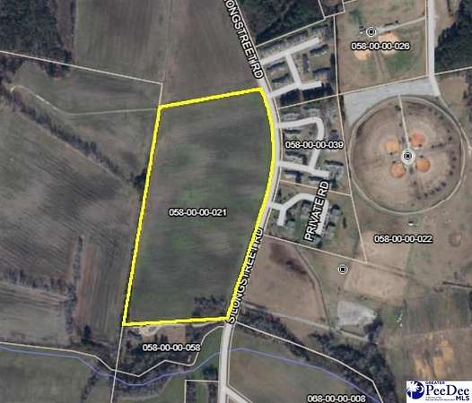 30.5 Acres of Commercial Land for Sale in Dillon, South Carolina