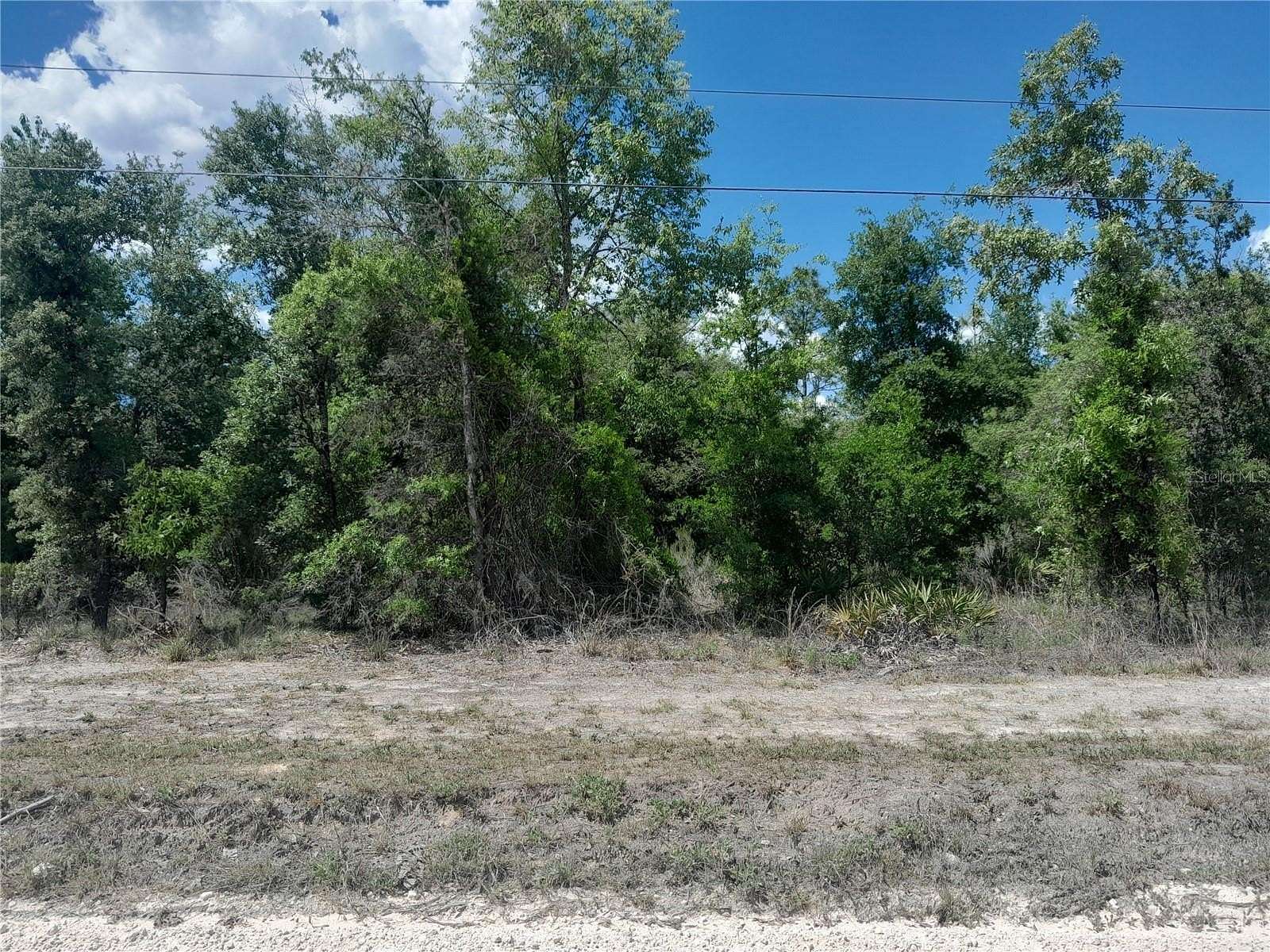 3.74 Acres of Residential Land for Sale in Williston, Florida