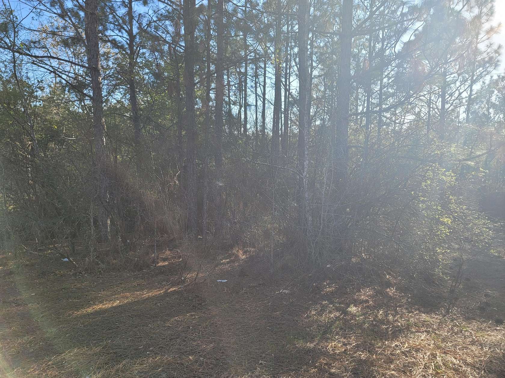 4 Acres of Land for Sale in Aiken, South Carolina