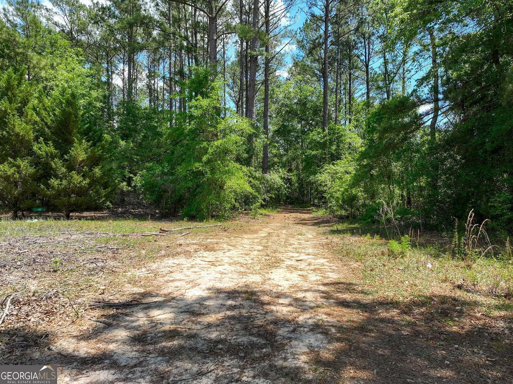 21.3 Acres of Recreational Land for Sale in Metter, Georgia