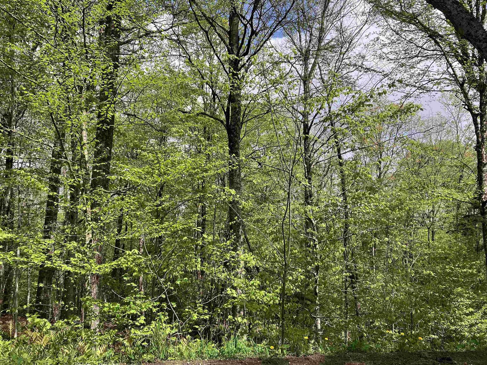 0.3 Acres of Residential Land for Sale in Wilmington, Vermont