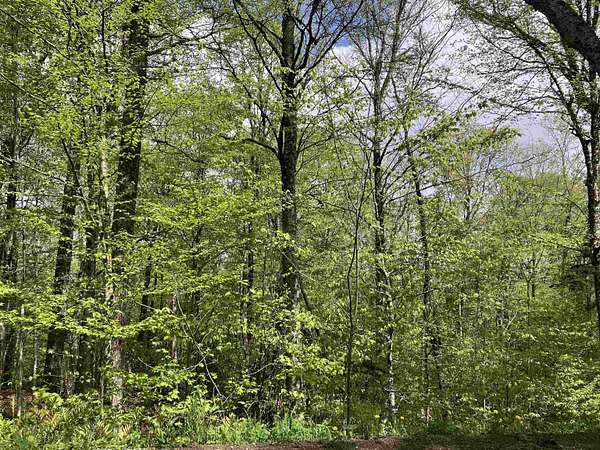 0.3 Acres of Residential Land for Sale in Wilmington, Vermont