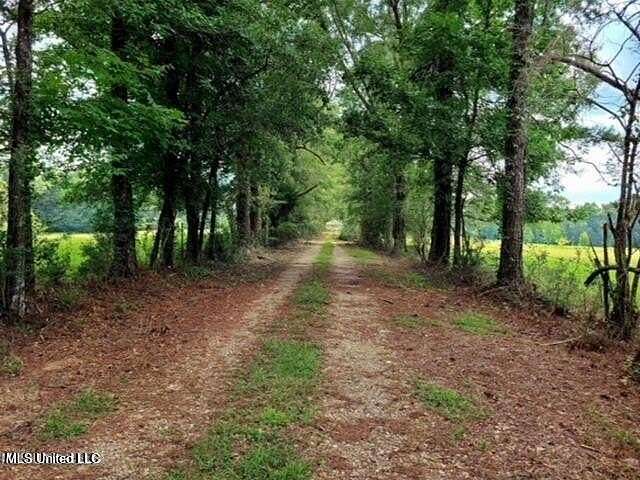 24 Acres of Land for Sale in Poplarville, Mississippi