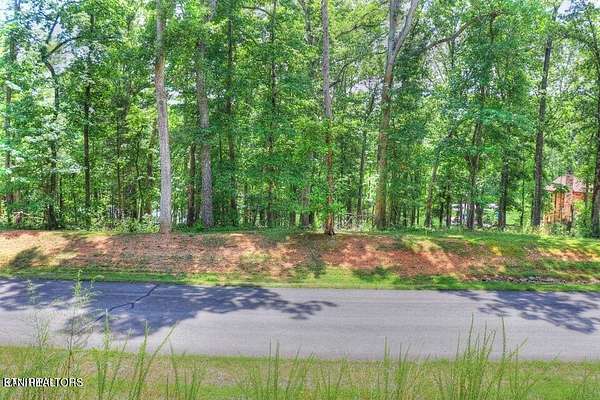 1 Acre of Residential Land for Sale in Rockwood, Tennessee