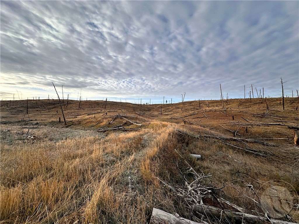 20 Acres of Recreational Land for Sale in Roundup, Montana