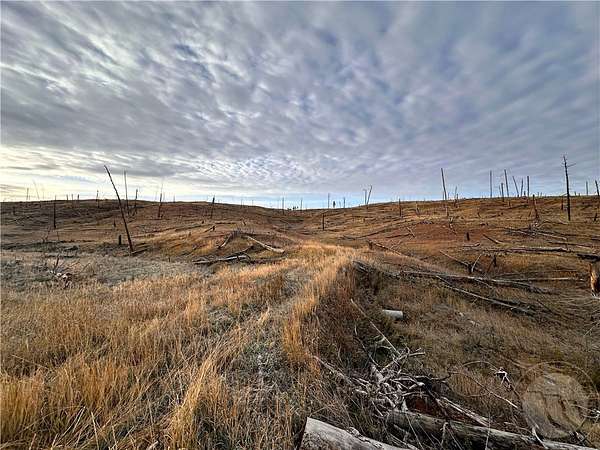 20 Acres of Recreational Land for Sale in Roundup, Montana