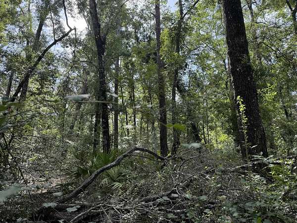 1.13 Acres of Residential Land for Sale in Live Oak, Florida