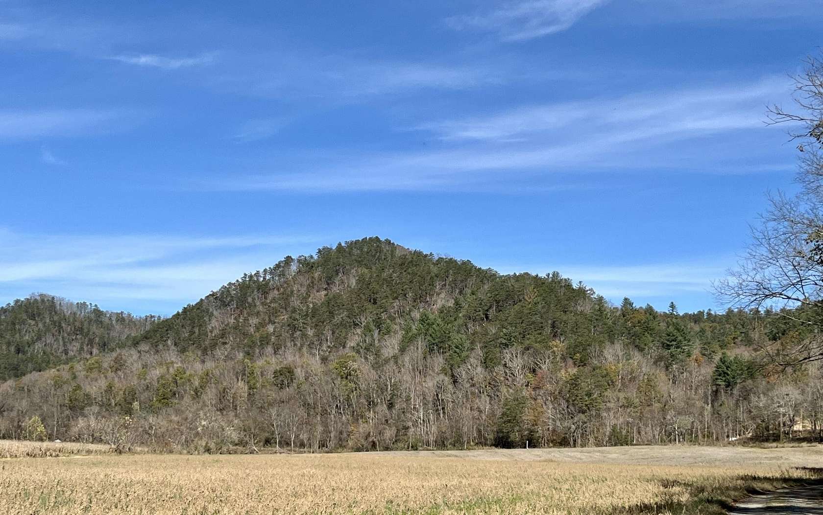 67 Acres of Land for Sale in Del Rio, Tennessee