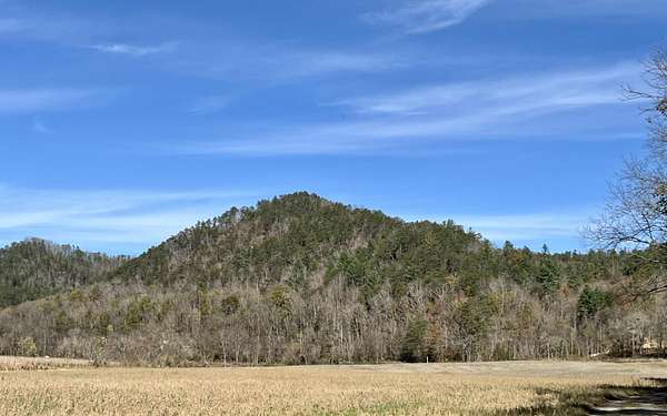 67 Acres of Recreational Land for Sale in Del Rio, Tennessee