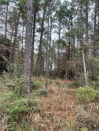 0.21 Acres of Residential Land for Sale in Brookeland, Texas