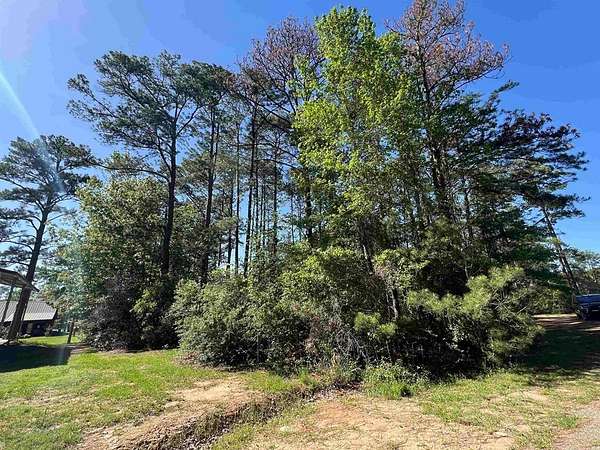 0.32 Acres of Land for Sale in Brookeland, Texas