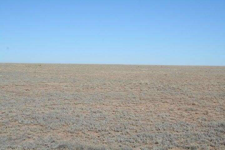 10 Acres of Land for Sale in Bernardo, New Mexico