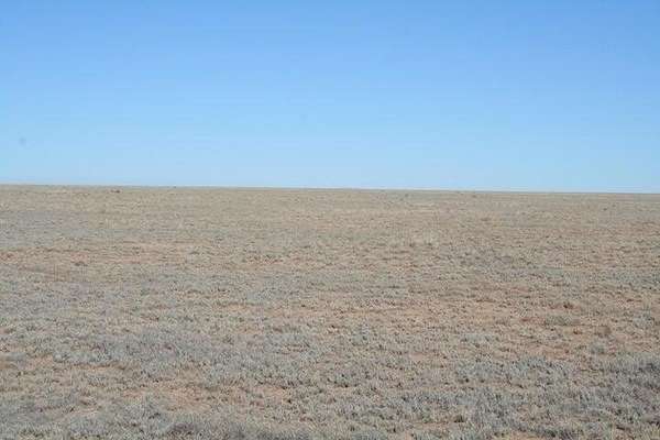 10 Acres of Land for Sale in Bernardo, New Mexico