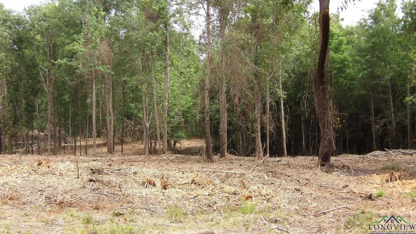 13 Acres of Land for Sale in Jefferson, Texas