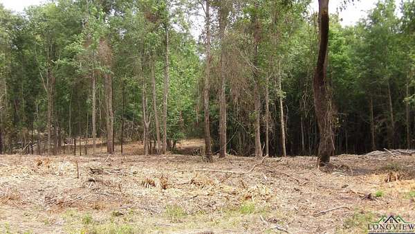 13 Acres of Land for Sale in Jefferson, Texas