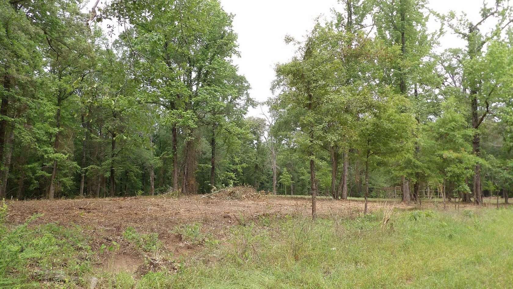 18 Acres of Land for Sale in Jefferson, Texas