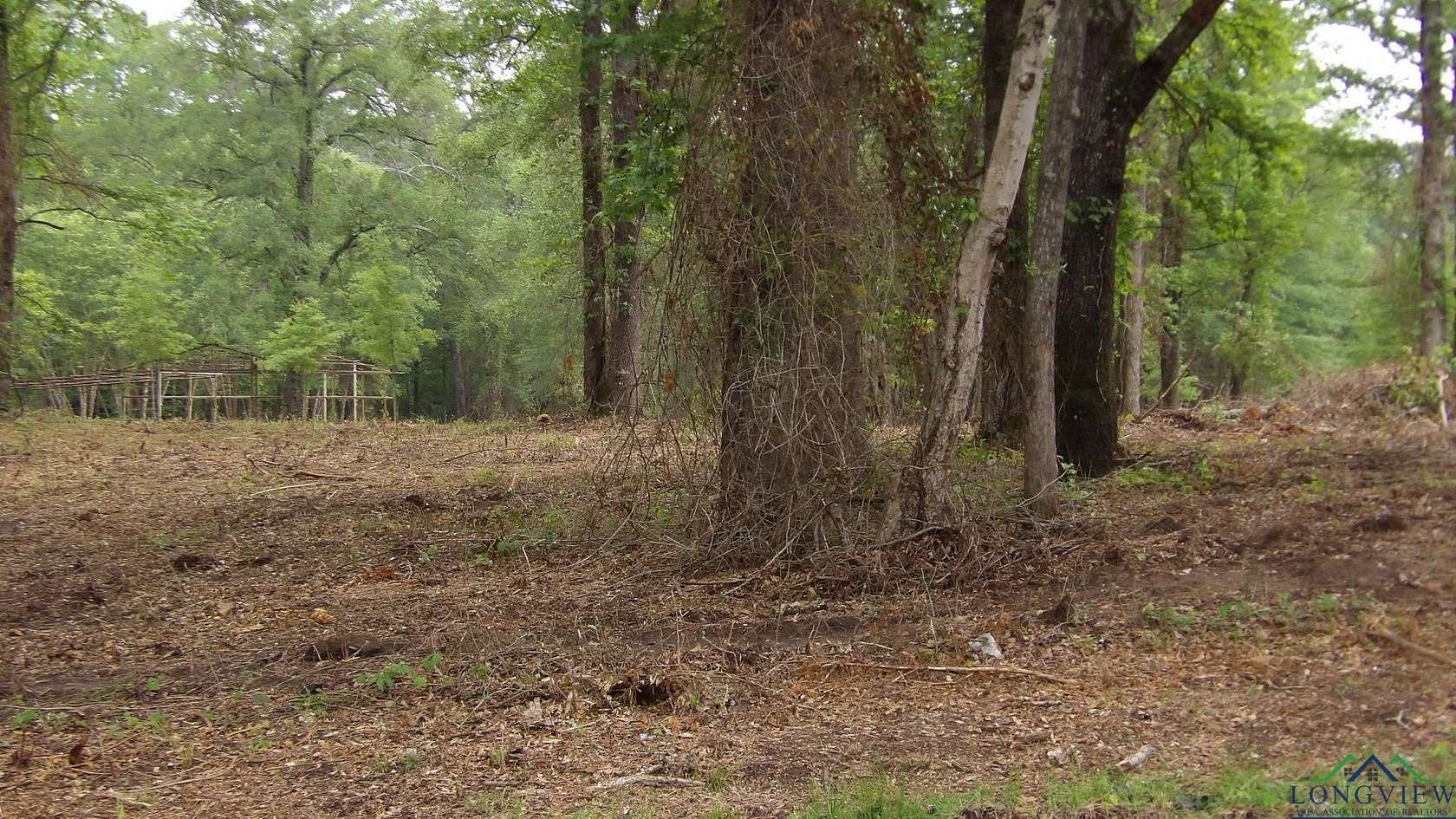 3 Acres of Land for Sale in Jefferson, Texas