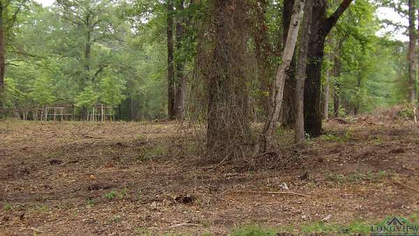 3 Acres of Land for Sale in Jefferson, Texas