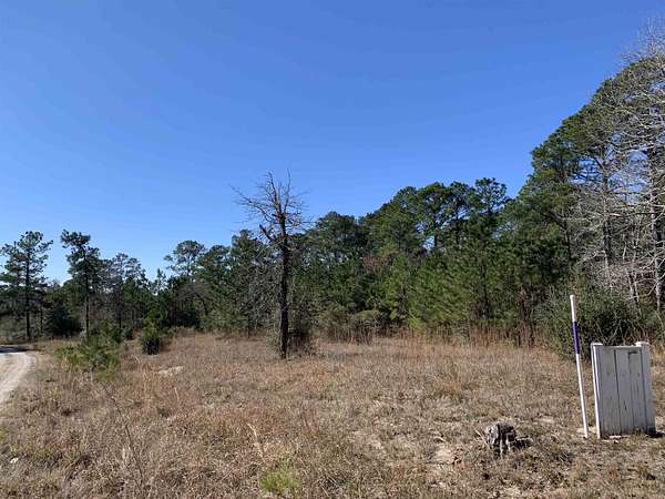 1.23 Acres of Land for Sale in Brookeland, Texas
