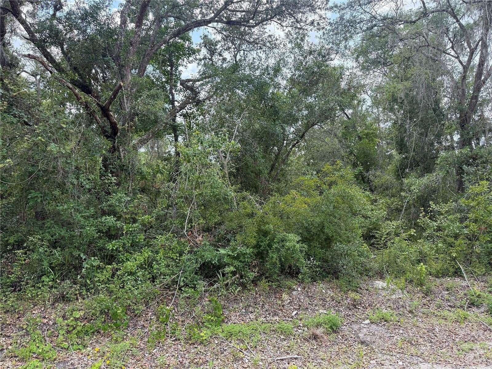 2.15 Acres of Residential Land for Sale in Webster, Florida