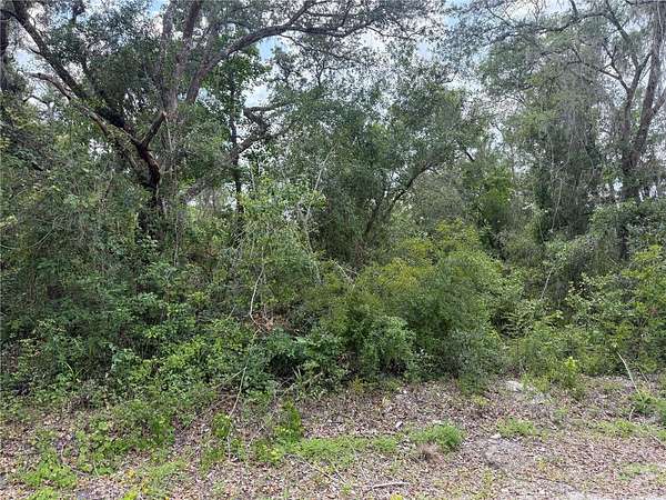 2.15 Acres of Residential Land for Sale in Webster, Florida