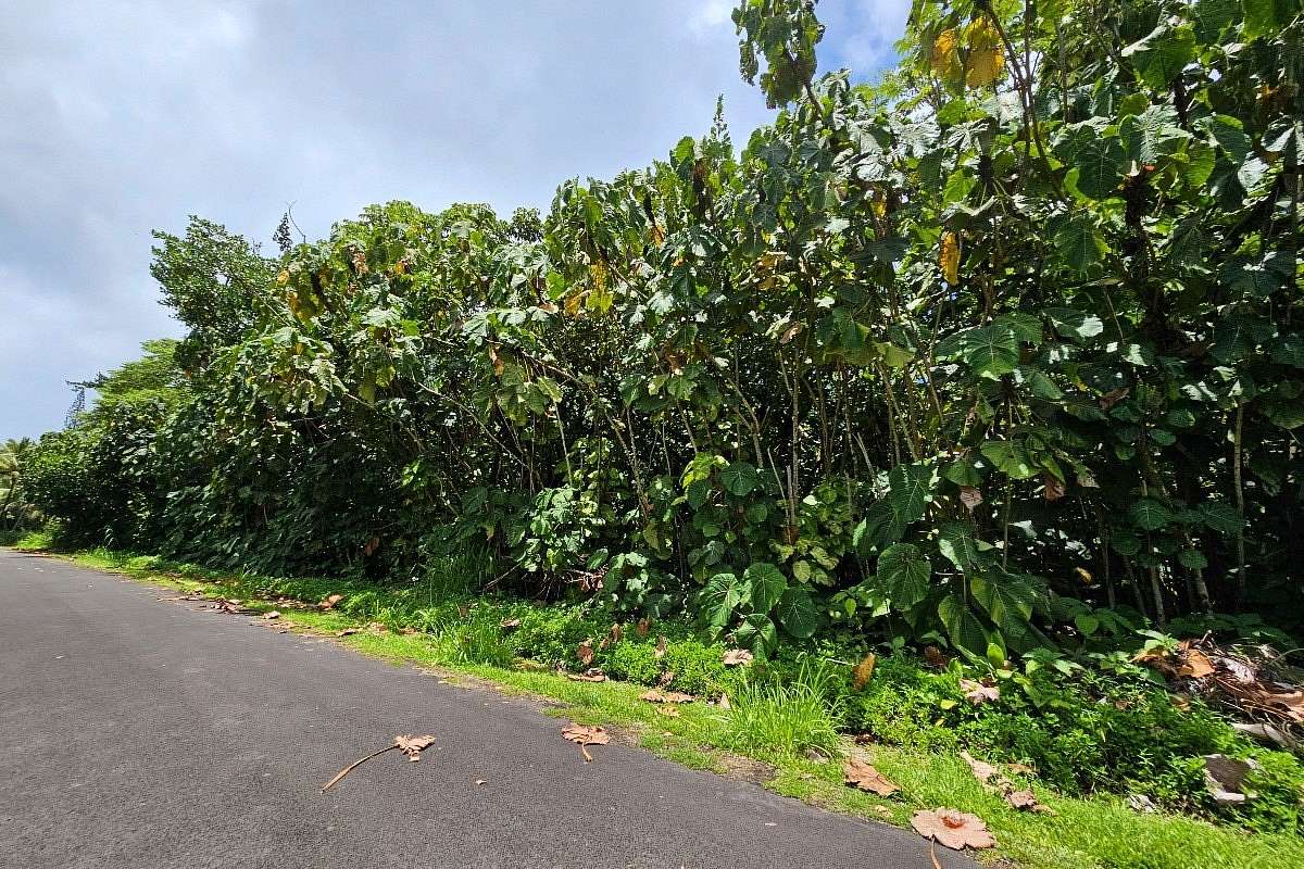 0.27 Acres of Residential Land for Sale in Pahoa, Hawaii