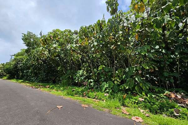0.27 Acres of Residential Land for Sale in Pahoa, Hawaii