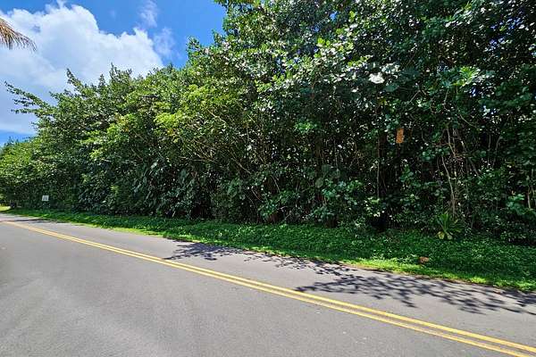 0.22 Acres of Residential Land for Sale in Pahoa, Hawaii