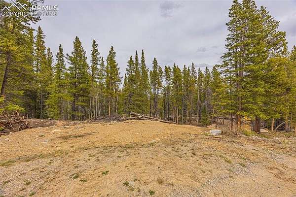 3 Acres of Residential Land for Sale in Fairplay, Colorado