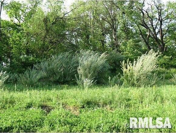 0.21 Acres of Residential Land for Sale in Springfield, Illinois